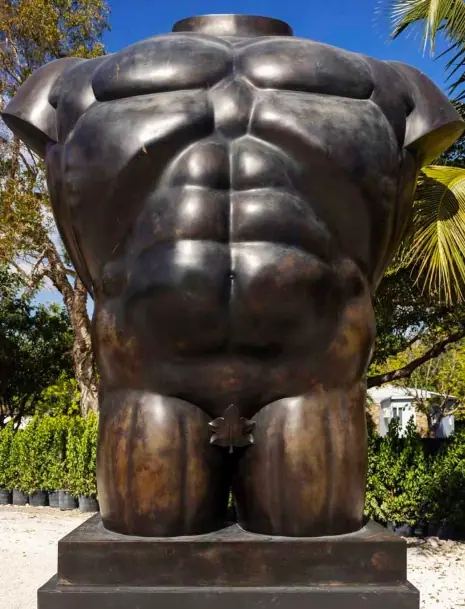 Close-up of a bronze torso, showing its surface and sculpted volume.